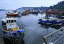 Pescadores artesanales agradecen aporte económico brindado por el municipio en época de crisis