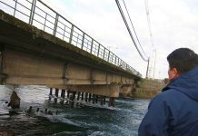 Solicitan carta Gantt a Minvu para solución definitiva de puente en Llanquihue