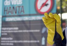 Seremi de Salud inició campaña preventiva por Hantavirus tras primer caso confirmado en la provincia de Osorno