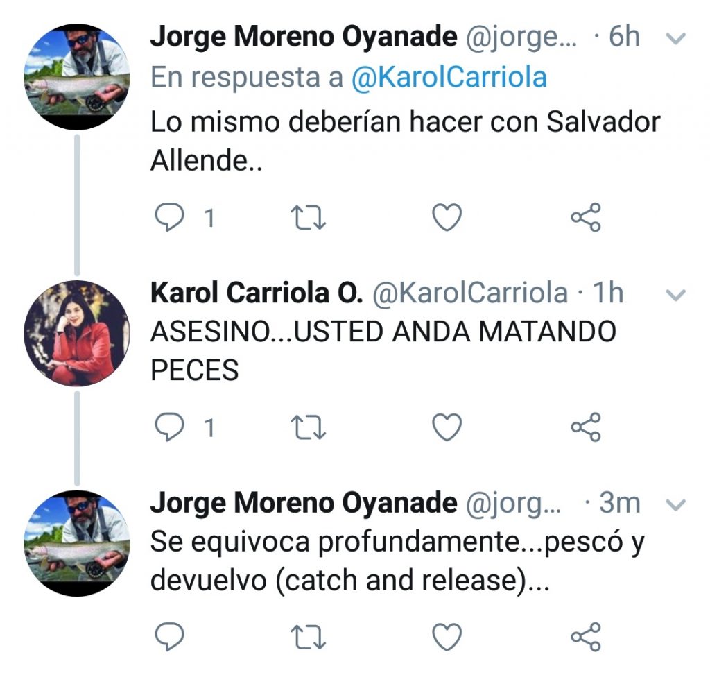 Curioso intercambio en Twitter entre Seremi de BBNN y cuenta parodia de diputada PC