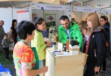 Multitudinaria asistencia de público tuvo la ExpoMundo Rural realizada en Chiloé