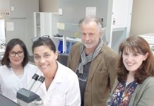 Suizo: Más de 30 años de experiencia en “sarna polvorienta” de papa