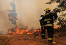 Incendio forestal en Parque Nacional Hornopirén obligó decretar alerta roja
