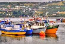Autoridad de salud resolvió permitir trabajar a los pescadores artesanales en Semana Santa.
