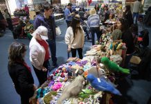 Usuarias de FOSIS sacan provecho a la temporada de cruceros y ofrecen sus productos en el puerto Empormontt