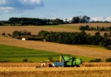 CADEM: Chilenos sitúan al agro como el sector más importante como motor del desarrollo del país, pero con un futuro incierto debido a la sequía