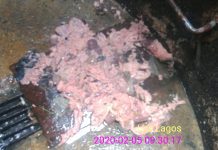 Encontraron desechos de pescados y otros residuos industriales en red de alcantarillado domiciliario en Ancud