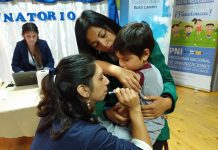 Autoridades de Salud en Chiloé preparan el inicio de vacunación contra la influenza
