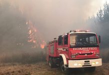 Alerta roja en Penco, VIII Región por incendio forestal que amenaza viviendas