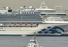 Pareja de chilenos deja crucero puesto en cuarentena en Japón por coronavirus