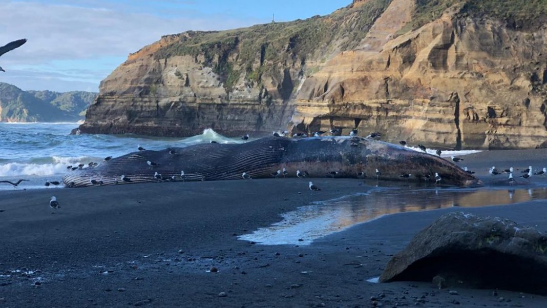 foto_0000000220200207143722