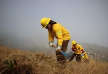 Amplían Alerta Amarilla para dos comunas en la Región de Los Ríos por incendio forestal