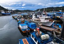 Tenso y complejo panorama viven los pescadores artesanales de Chiloé tras término de trabajo en Zonas Contiguas con la región de Aysén