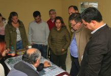 Estudian factibilidad de implementar transporte público entre Mirasol y El Tepual tras apertura de la pasarela Alessandri