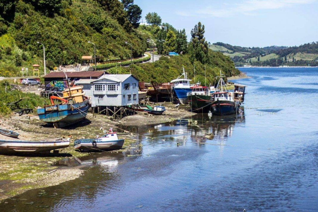 Francisco-Campos-Lopez-6