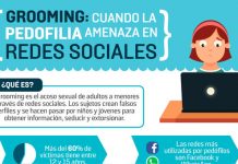 Notable incremento en delitos sexuales a menores a través de internet registra la región de Los Lagos