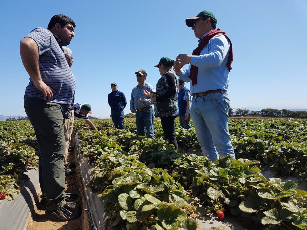 Las postulaciones concluyen el próximo 15 de abril