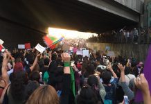 Multitudinaria marcha se llevó a cabo en Osorno en el día posterior al 8M