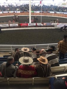 Federación de Rodeo Chileno ante pandemia de Coronavirus suspendió el 72° Campeonato Nacional de Rodeo, pero se desarrolla el Clasificatorio en Osorno