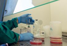 Confirman primer caso de coronavirus en Chile