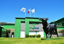 Según Gerente de FRIGOSORNO, efectos del COVID-19 podrían afectar a la industria hasta el mes de junio