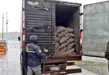Más de 900 autorizaciones para que camiones ingresen a Chiloé ha entregado Sernapesca