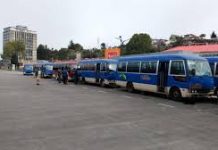 Minibuses podrán trasladar dos tercios de su capacidad en la provincia de Llanquihue