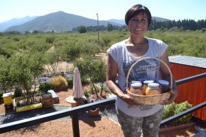 INDAP: Por redes, paquete de medidas para la agricultura familiar campesina ante sequía y COVID 19 