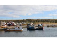 Parlamentarios gestionan medidas para ir en ayuda de pescadores artesanales