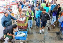 Osorno y Puerto Montt registraron alto aumento de contagiados en las últimas horas