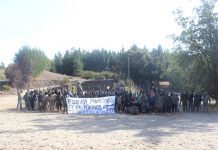 ACOFORAG: Ante evidencia de guerrillas en Provincia de Arauco éstas deben ser desarticuladas con militares