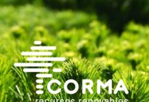 CORMA, dispuso recinto ferial en Coronel, para centro de aislamiento físico de personas con Coronavirus