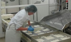 Esperando su promulgación quedó ley que aumenta FOGAPE para Pequeños y Medianos Empresarios