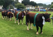 Podcast CAMPO AL DÍA: Entrevista a Médico Veterinario, Claudio Esparza