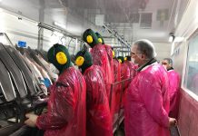 Región de Los Lagos lidera en las que menos fuerza laboral han recuperado, pese a baja tasa de desempleo