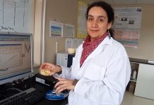 INIA implementa moderna técnica para determinar la composición nutricional de los quesos.
