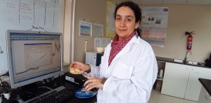 INIA implementa moderna técnica para determinar la composición nutricional de los quesos.