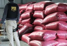 Organización criminal dedicada al robo de alimento para salmón operaba desde la región de Los Lagos hasta Arica