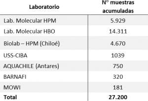 Reporte COVID-19 región de Los Lagos jueves 28 de mayo