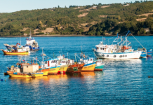 Alcaldes de Chiloé solicitarán nuevas medidas para contener la propagación del virus tras primer deceso por Covid-19