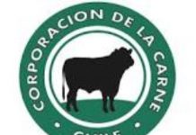 Podcast CAMPO AL DÍA: Fondo de 1.000 millones de pesos para energías renovables