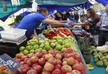 Valor de la producción mundial de frutas y hortalizas rozó los € 370.000 millones en 2018