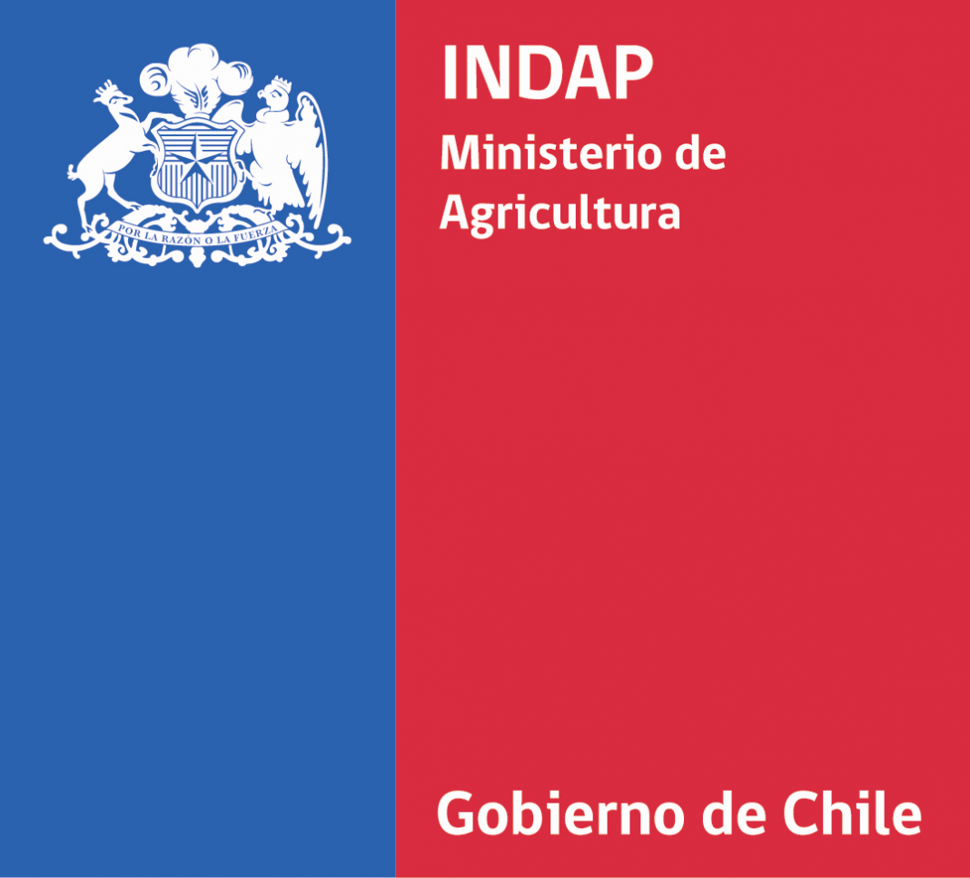 logo_indap