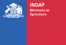 Podcast CAMPO AL DÍA: Entrevista a Luis Fernández, presidente funcionarios PDTI
