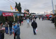 Puerto Montt suspende actividades de Fiestas Patrias por la pandemia de coronavirus