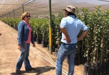 Viveristas chilenos apuestan por la calidad