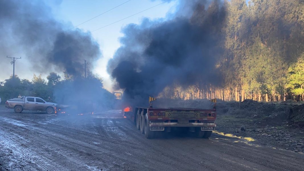 WhatsApp Image 2020-06-03 at 12.10.06