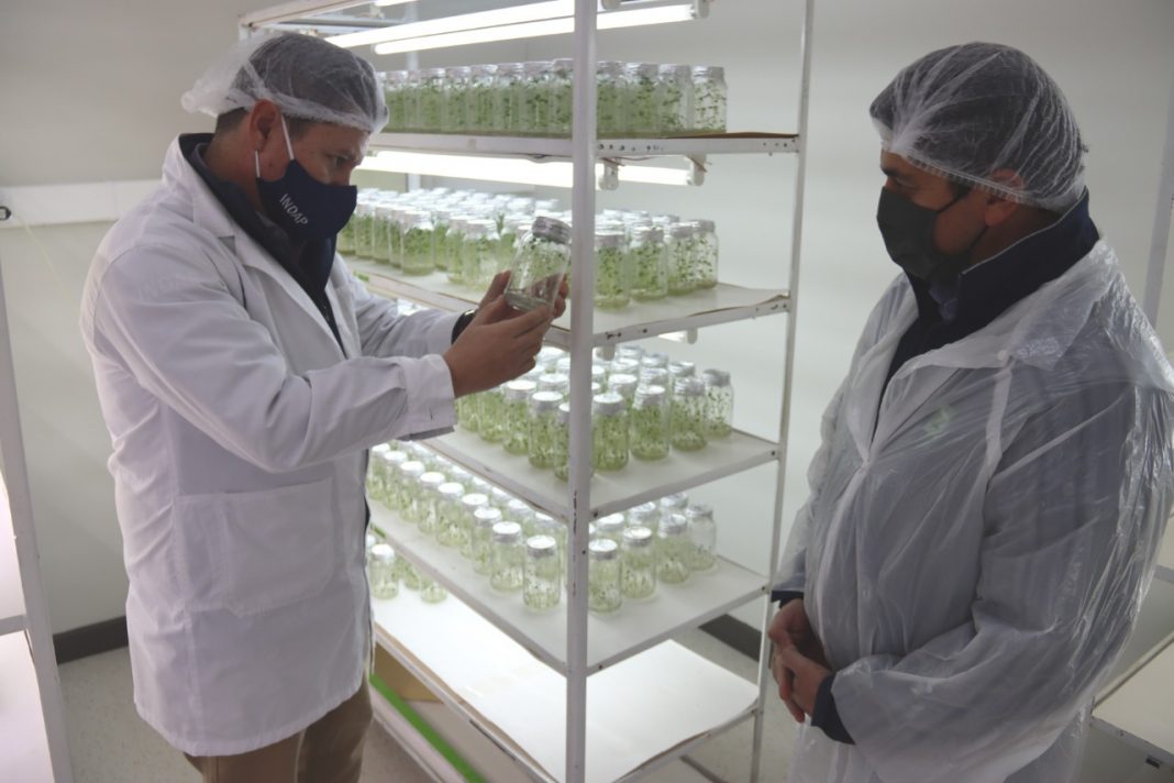 WhatsApp Image 2020-06-17 at 11.03.37