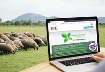 INE y ODEPA reagendan inicio del VIII Censo Agropecuario y Forestal 2020