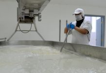 Recepción de leche registra crecimiento de 4,3% en Los Lagos, según ODEPA